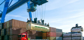 Dry Bulk activities