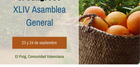 1ª Promoción VI Congreso