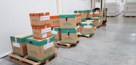 cajas vacunas