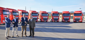 DAF_translimus