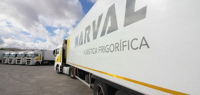 narval