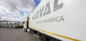 Narval