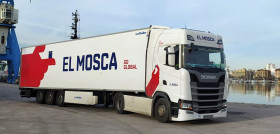 ElMosca2