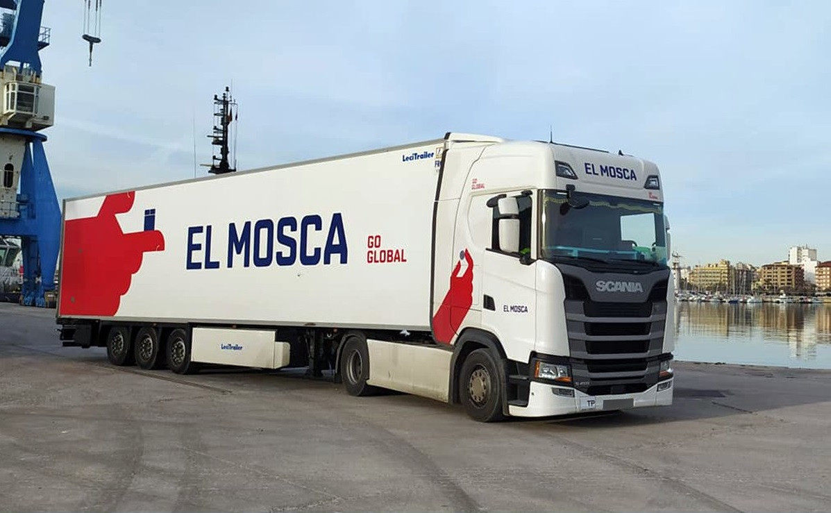 ElMosca2