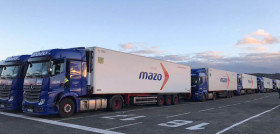 GRUPO MAZO 01