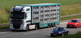 Live animal transport European Commission tables improved conditions