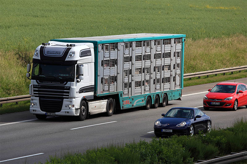 Live animal transport European Commission tables improved conditions