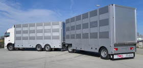 Transporte animales 310