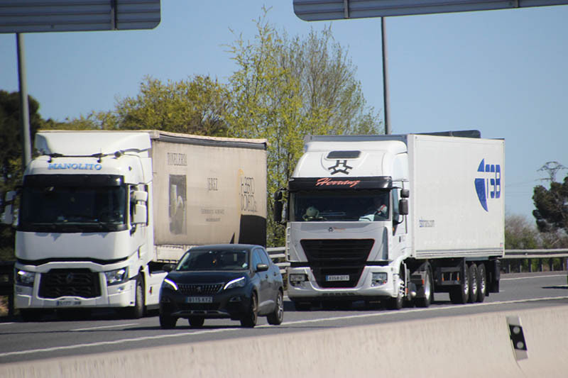 Transporte IMG 5298