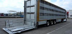 Transporte animales DSCF5734