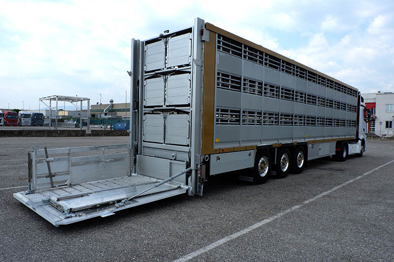 Transporte animales DSCF5734