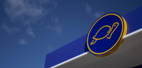 Logo onturtle