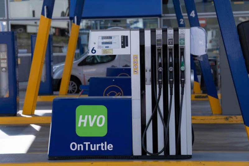 HVO On turtle 1