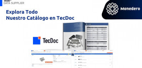 TecDoc (1)