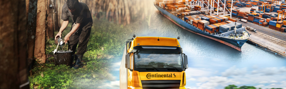 Continental Sostenibilidad Cadena de Suministro