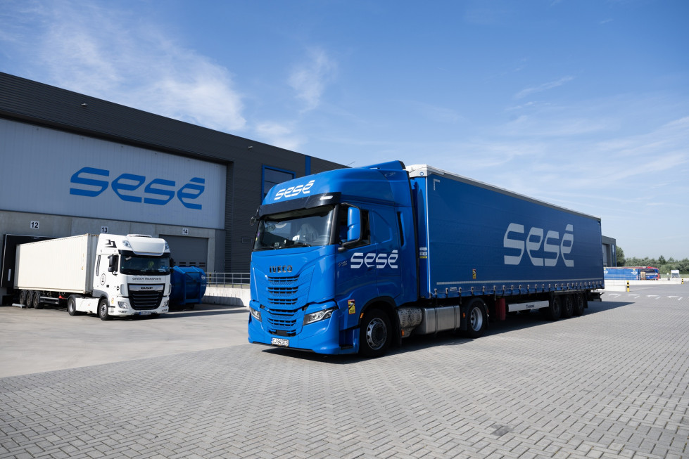 Sesé1