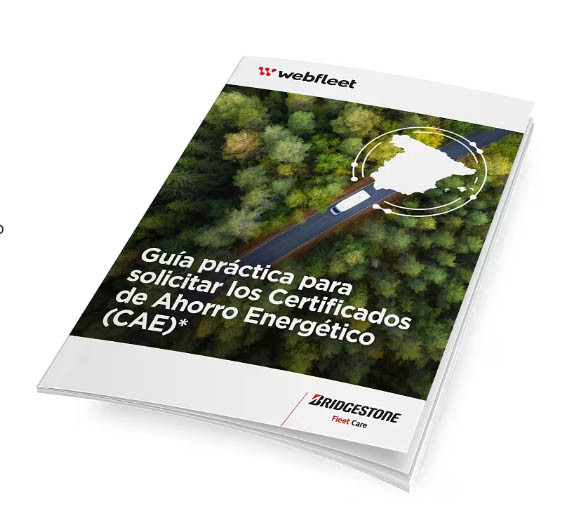 Ebook CAE