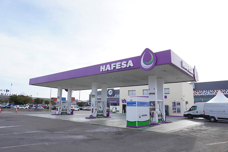 Hafesa 1