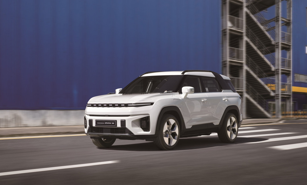 Torres EVX VAN (1)