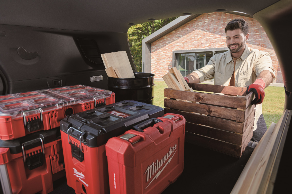 Torres EVX VAN (2)
