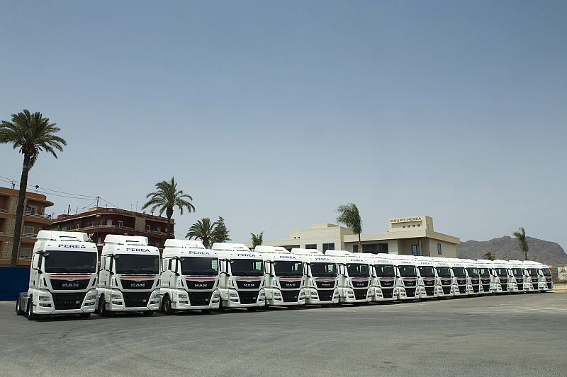 Algunas de las 75 nuevas tractoras MAN adquiridas por Transportes Perea.