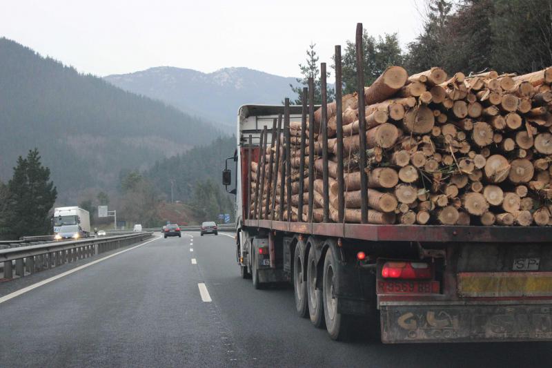 Tres de cada cuatro empresas de transporte de Guipúzcoa ni siquiera intentan lograr financiación.