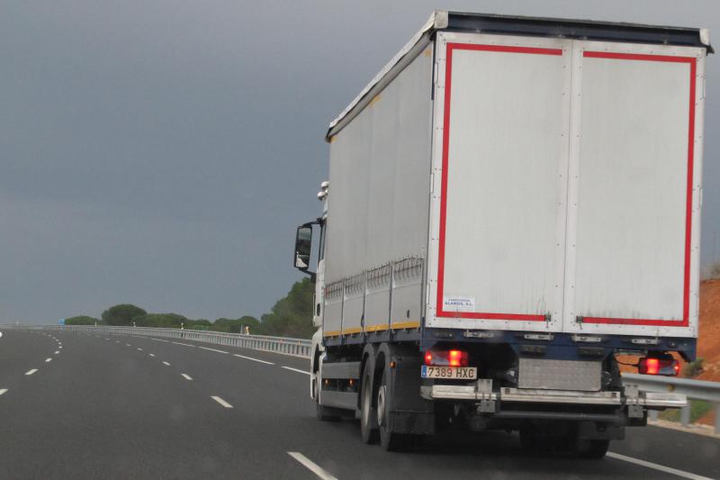 Camión blanco rígido tres ejes circula por autovía.