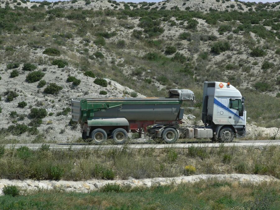 Paro canarias